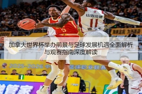 加拿大世界杯举办前景与足球发展机遇全面解析与观赛指南深度解读