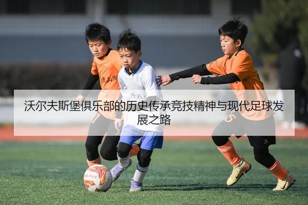 沃尔夫斯堡俱乐部的历史传承竞技精神与现代足球发展之路