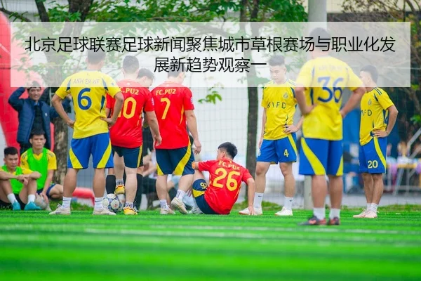 北京足球联赛足球新闻聚焦城市草根赛场与职业化发展新趋势观察一