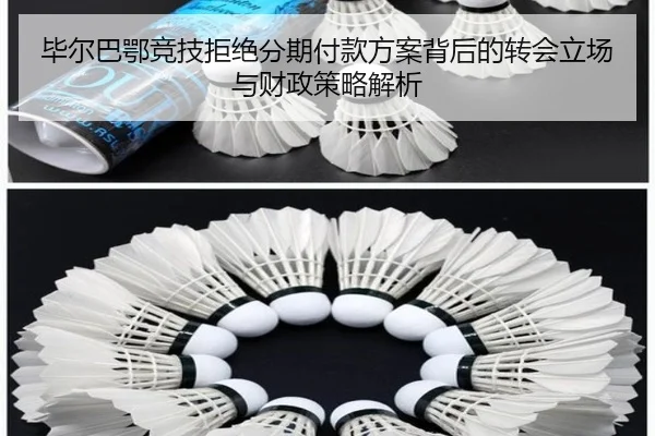 bi-er-ba-e-jing-ji-ju-jue-fen-qi-fu-kuan-fang-an-bei-hou-de-zhuan-hui-li-chang-yu-cai-zheng-ce-lve-jie-xi-2-881.jpg