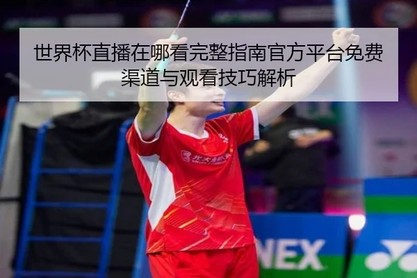 世界杯直播在哪看完整指南官方平台免费渠道与观看技巧解析