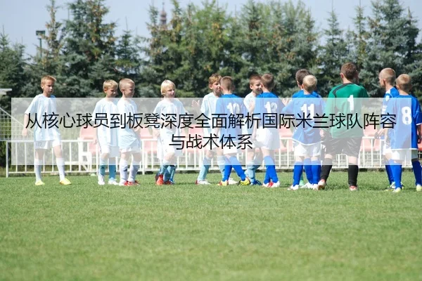 cong-he-xin-qiu-yuan-dao-ban-deng-shen-du-quan-mian-jie-xi-guo-ji-mi-lan-qiu-dui-zhen-rong-yu-zhan-shu-ti-xi-2-444.jpg