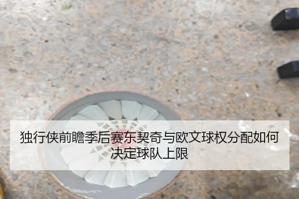独行侠前瞻季后赛东契奇与欧文球权分配如何决定球队上限